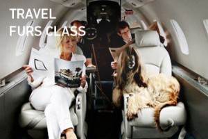 travelfursclass